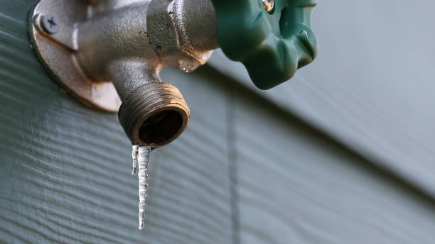 Best Drain Cleaning Services  in North Webster, IN